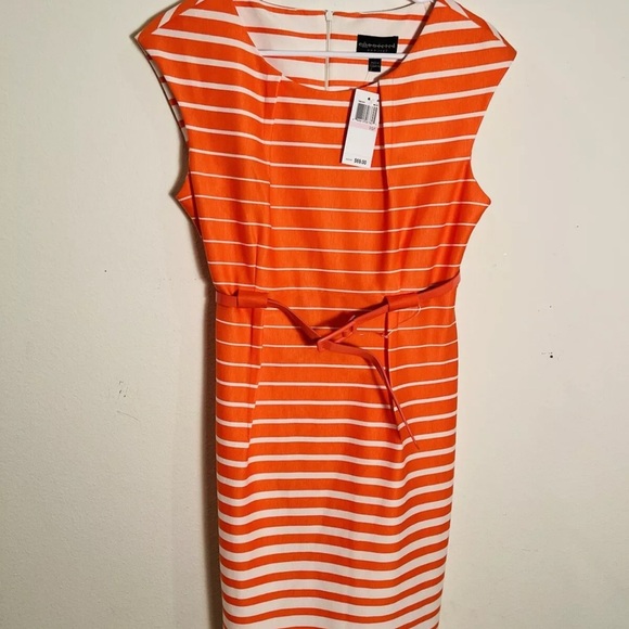 Connected Apparel Melon Dress, Size: 10P  NWT. MSRP $69 - Picture 4 of 11
